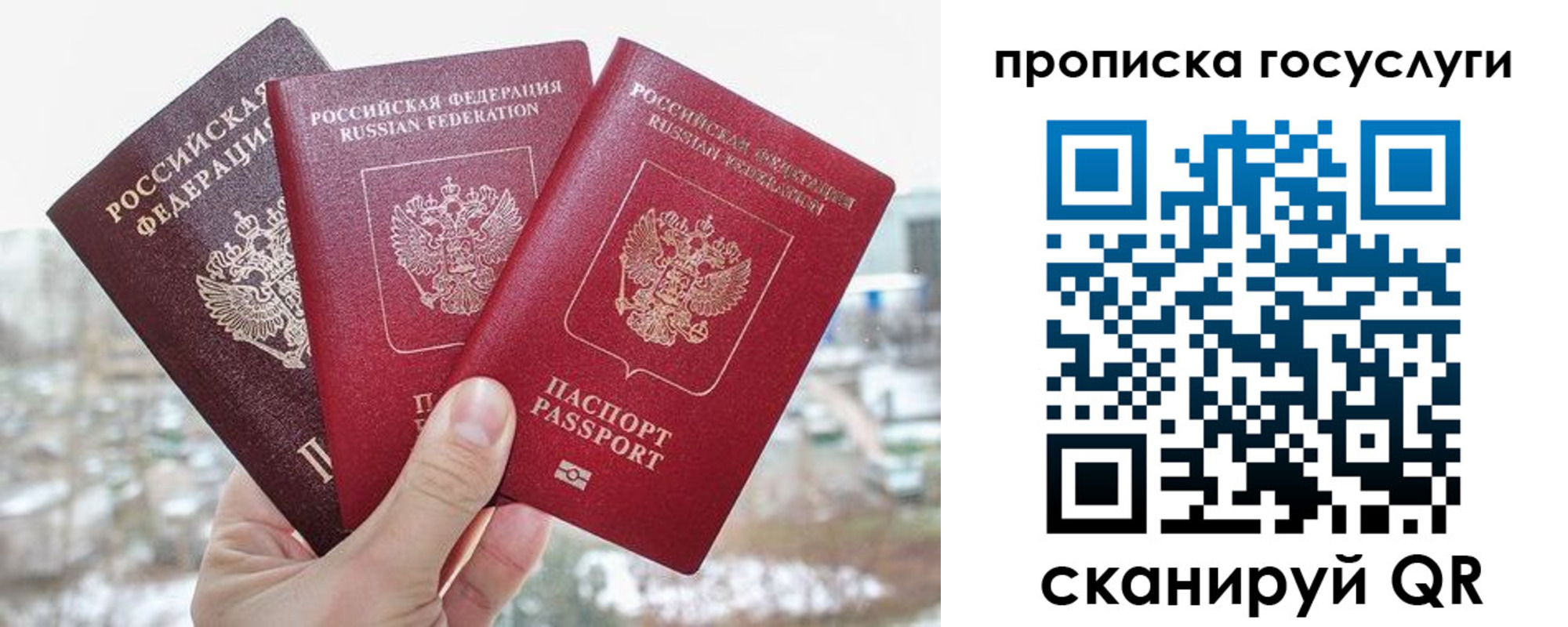 прописка законно в Североморске